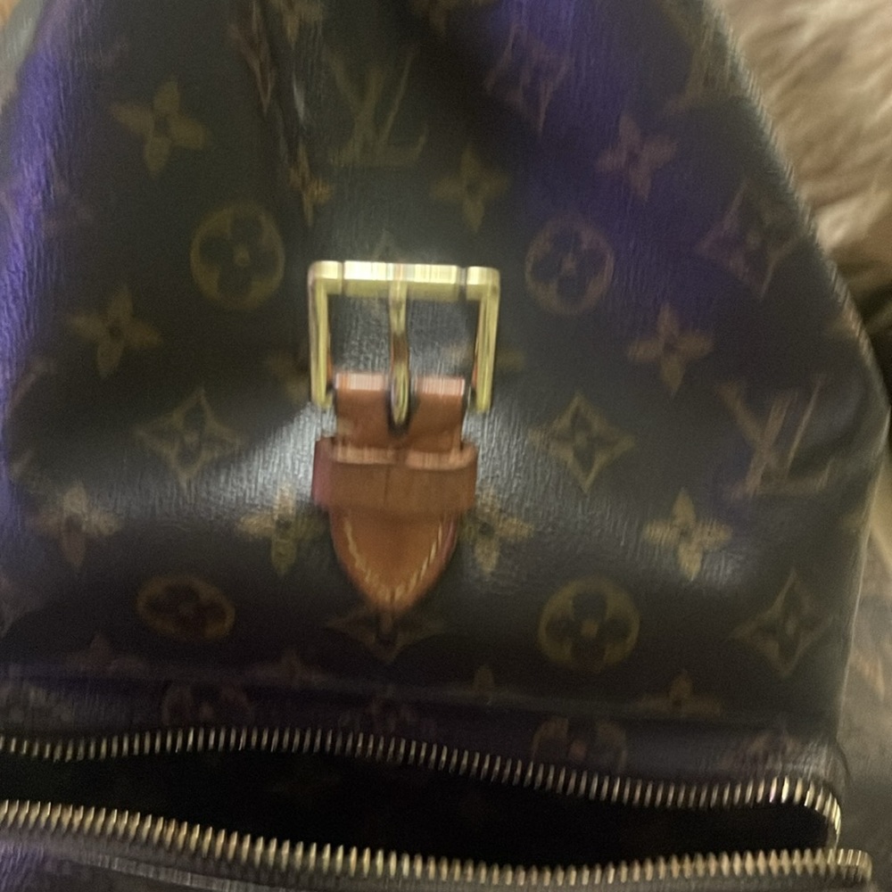 Louis Vuitton, authentic large backpack - Picture 5 of 9
